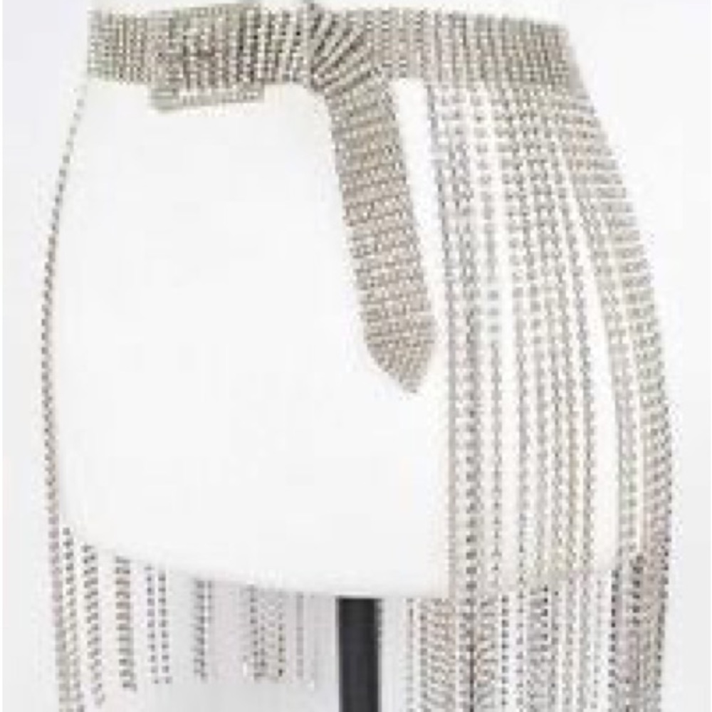 NWT Reba silver rhinestone fringe belt.NWT